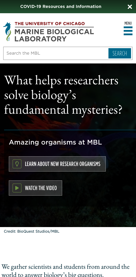 MBL homepage on mobile device screenshot