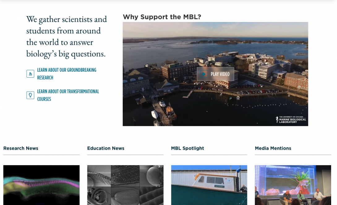 MBL video block screenshot