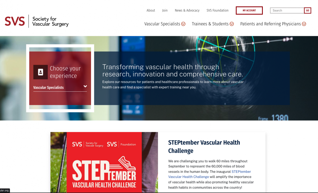 SVS homepage screenshot