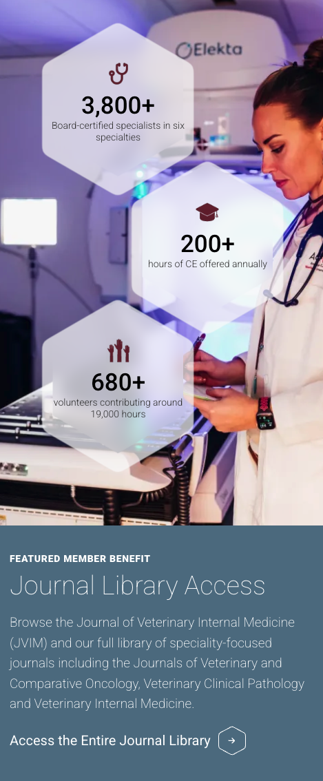 ACVIM tile block with stats